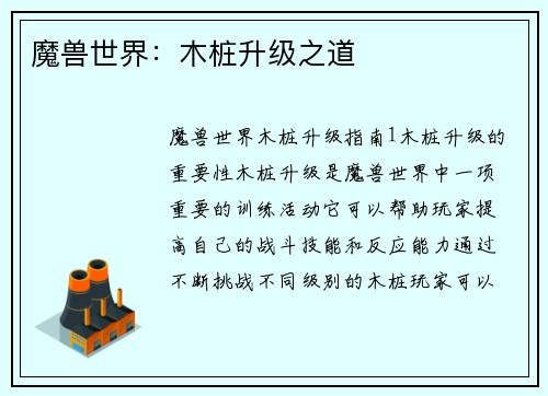 魔兽世界：木桩升级之道